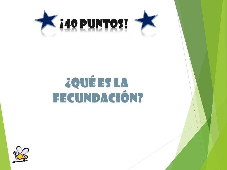 ¡40 PUNTOS! ¿Qué es la fecundación