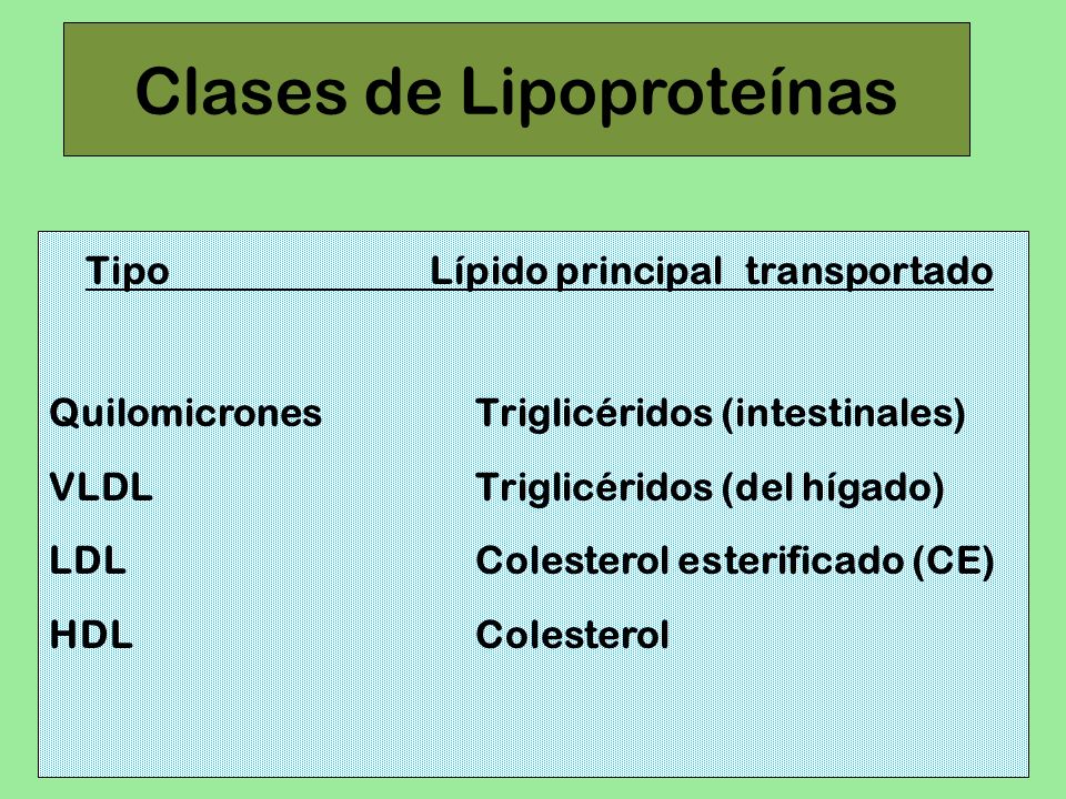 Clases de Lipoproteínas