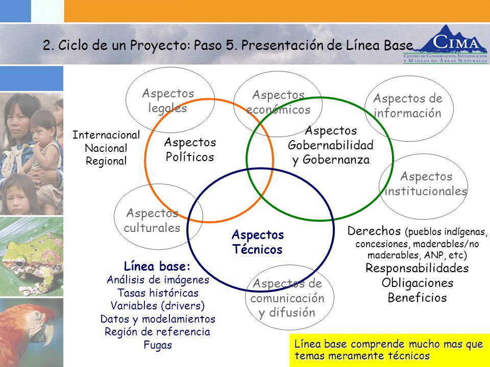2. Ciclo de un Proyecto: Paso 5. Presentación de Línea Base