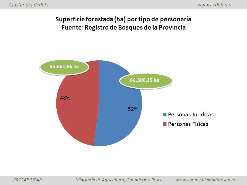 Superficie forestada (ha) por tipo de personería