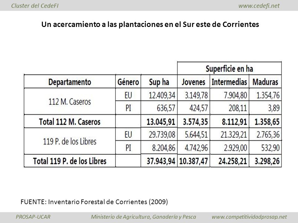 Un acercamiento a las plantaciones en el Sur este de Corrientes