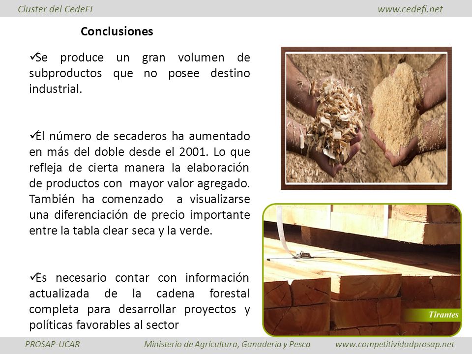 Conclusiones Se produce un gran volumen de subproductos que no posee destino industrial.