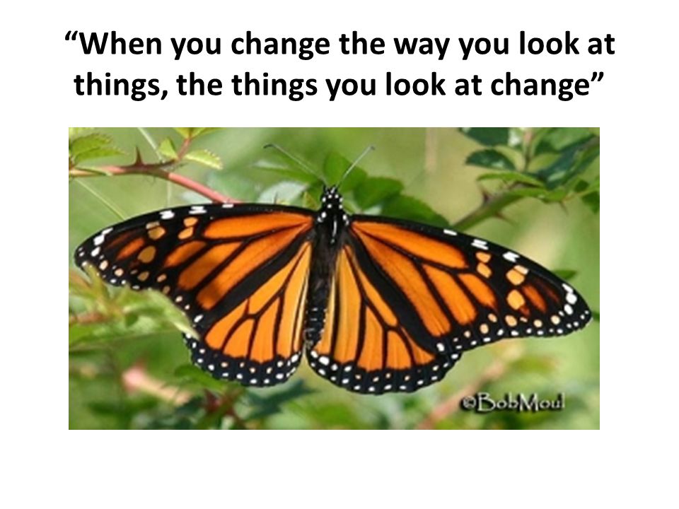 When you change the way you look at things, the things you look at change