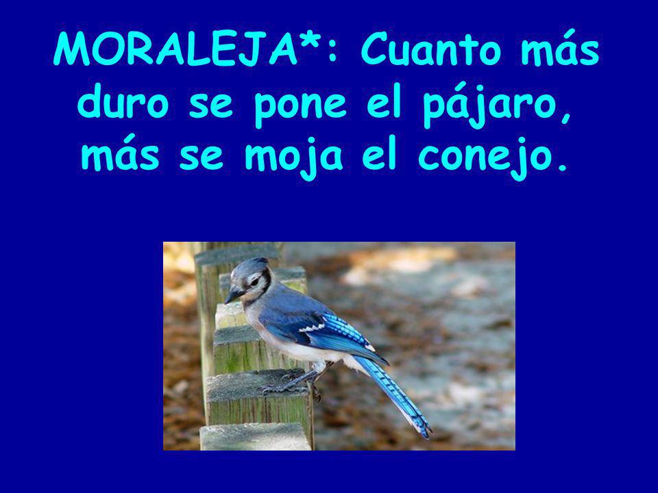 MORALEJA*: Cuanto más duro se pone el pájaro,
