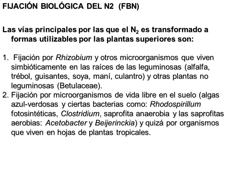 FIJACIÓN BIOLÓGICA DEL N2 (FBN)