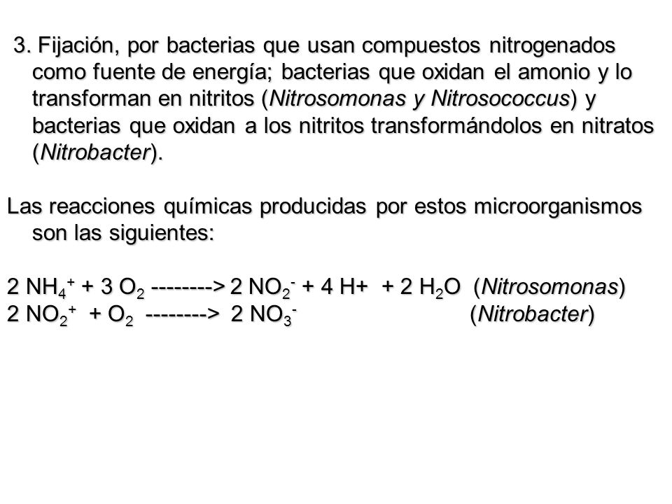 3. Fijación, por bacterias que usan compuestos nitrogenados como fuente de energía; bacterias que oxidan el amonio y lo transforman en nitritos (Nitrosomonas y Nitrosococcus) y bacterias que oxidan a los nitritos transformándolos en nitratos (Nitrobacter).