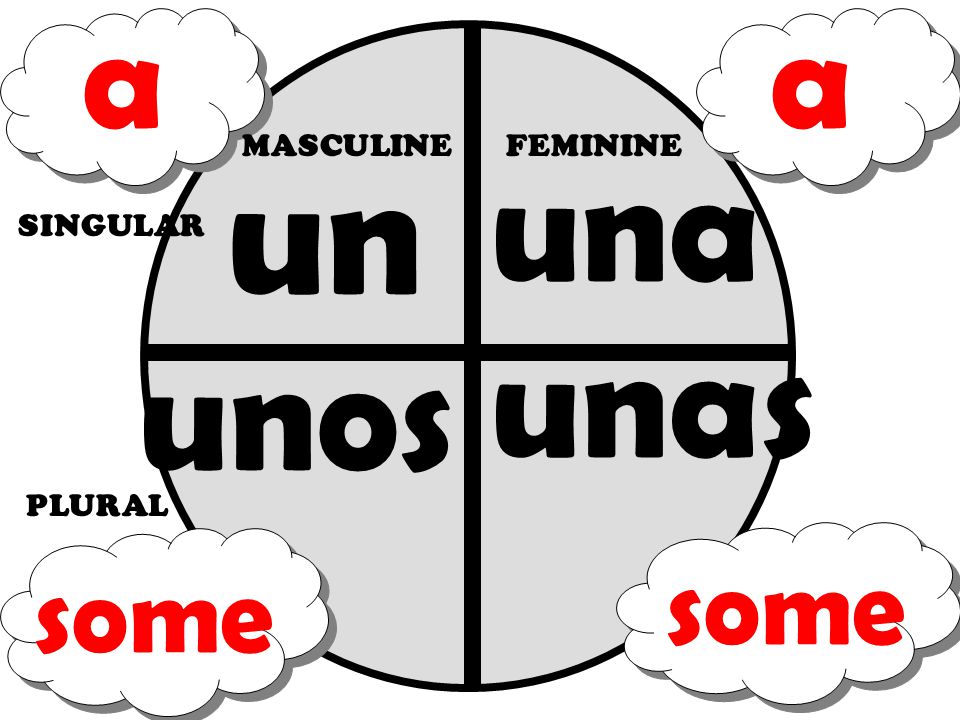 a a un MASCULINE una FEMININE SINGULAR unas unos PLURAL some some