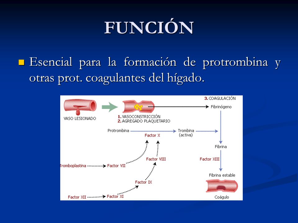 FUNCIÓN Esencial para la formación de protrombina y otras prot. coagulantes del hígado.
