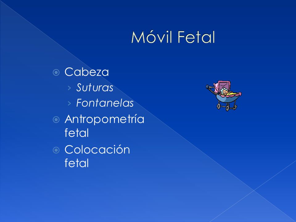 Móvil Fetal Cabeza Antropometría fetal Colocación fetal Suturas
