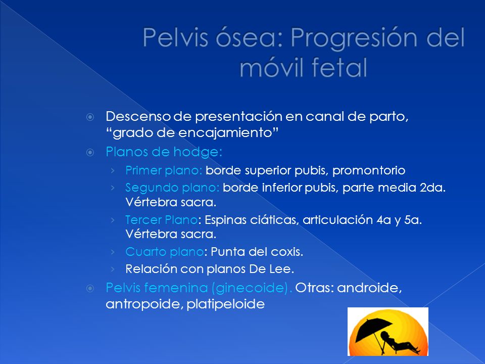 Pelvis ósea: Progresión del móvil fetal
