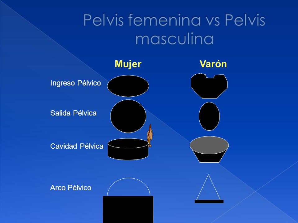 Pelvis femenina vs Pelvis masculina