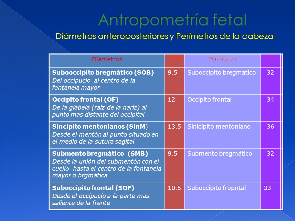 Diámetros anteroposteriores y Perímetros de la cabeza