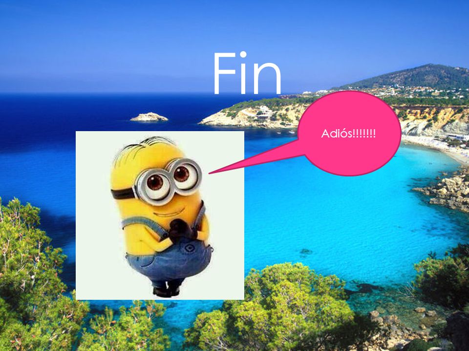 Fin Adiós!!!!!!!