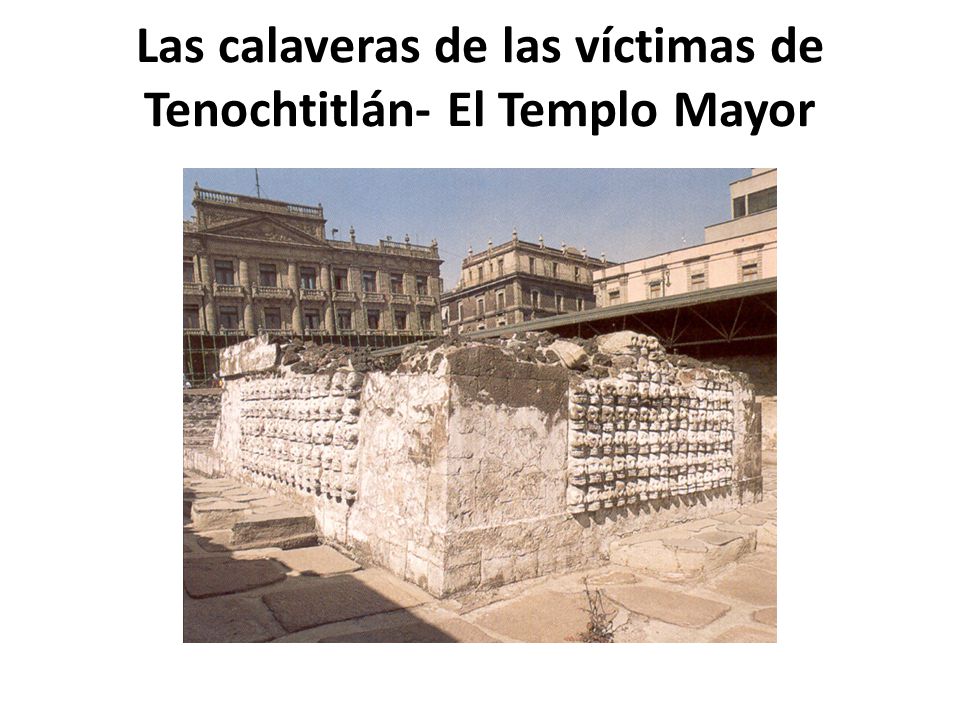 Las calaveras de las víctimas de Tenochtitlán- El Templo Mayor