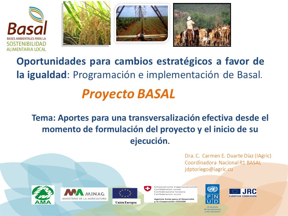 Oportunidades para cambios estratégicos a favor de la igualdad: Programación e implementación de Basal.