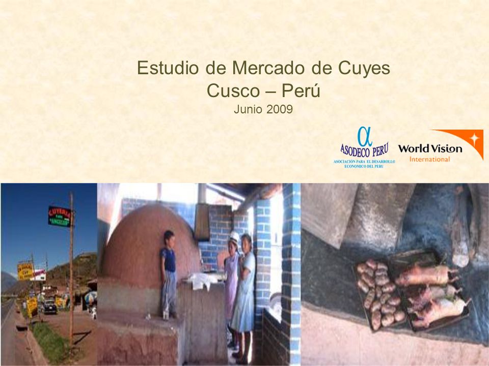 Estudio de Mercado de Cuyes Cusco – Perú Junio 2009