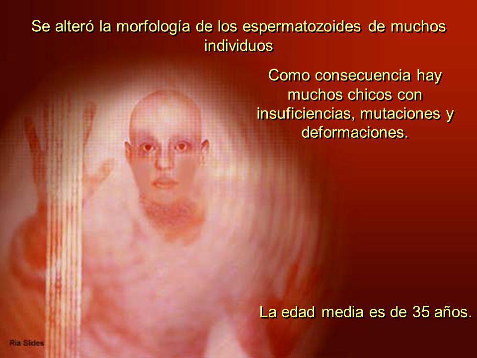 Se alteró la morfología de los espermatozoides de muchos individuos
