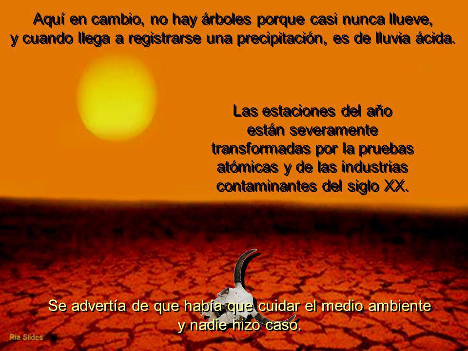Aquí en cambio, no hay árboles porque casi nunca llueve, y cuando llega a registrarse una precipitación, es de lluvia ácida.