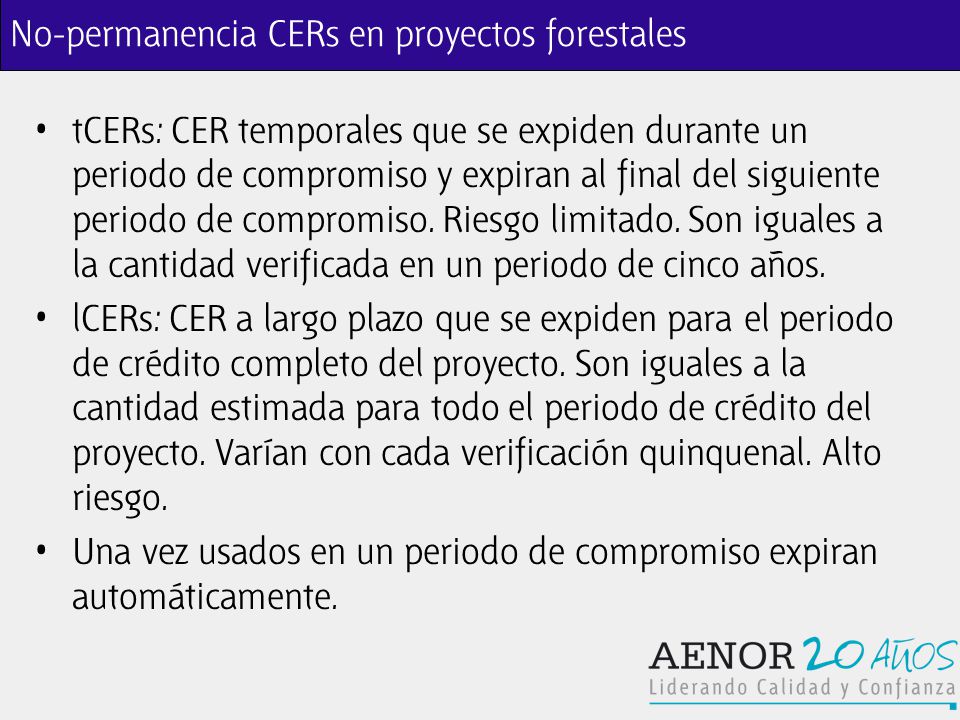 No-permanencia CERs en proyectos forestales