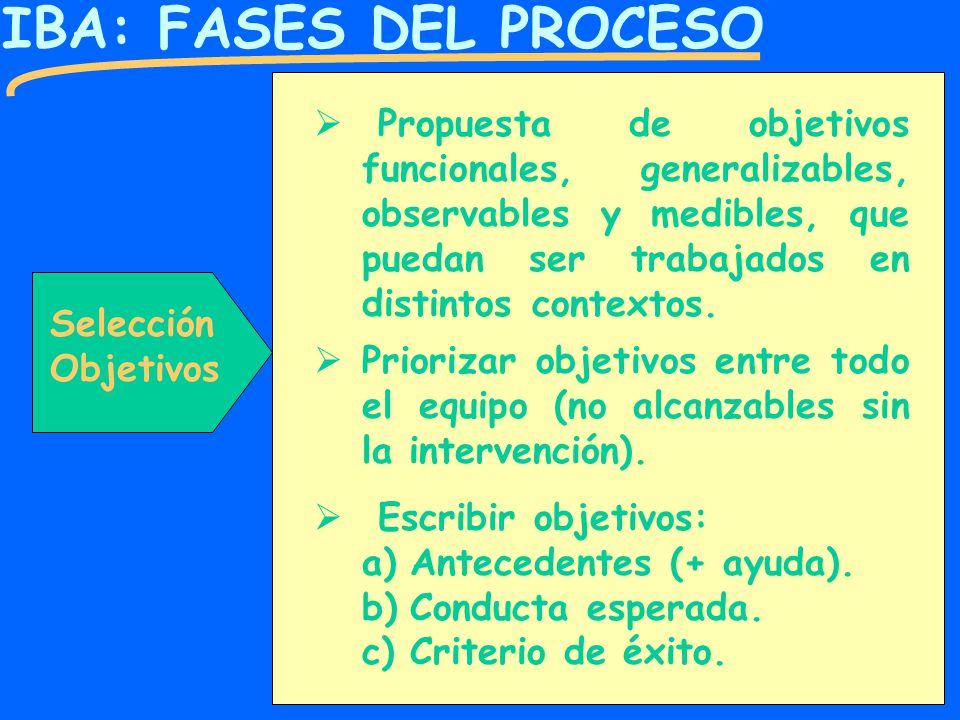 IBA: FASES DEL PROCESO Propuesta de objetivos funcionales, generalizables, observables y medibles, que puedan ser trabajados en distintos contextos.