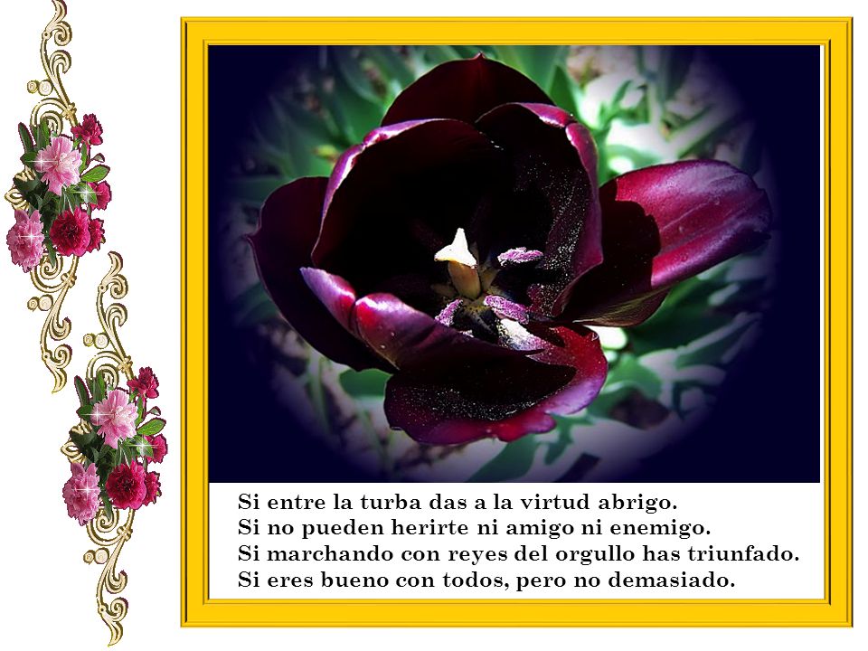 Si entre la turba das a la virtud abrigo