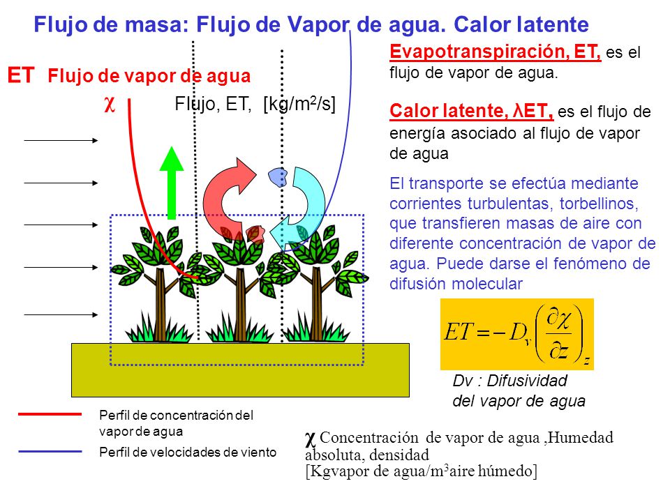 Flujo de masa: Flujo de Vapor de agua. Calor latente