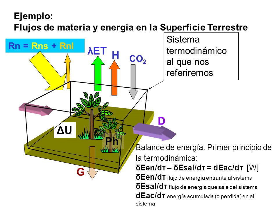 Ejemplo: Flujos de materia y energía en la Superficie Terrestre