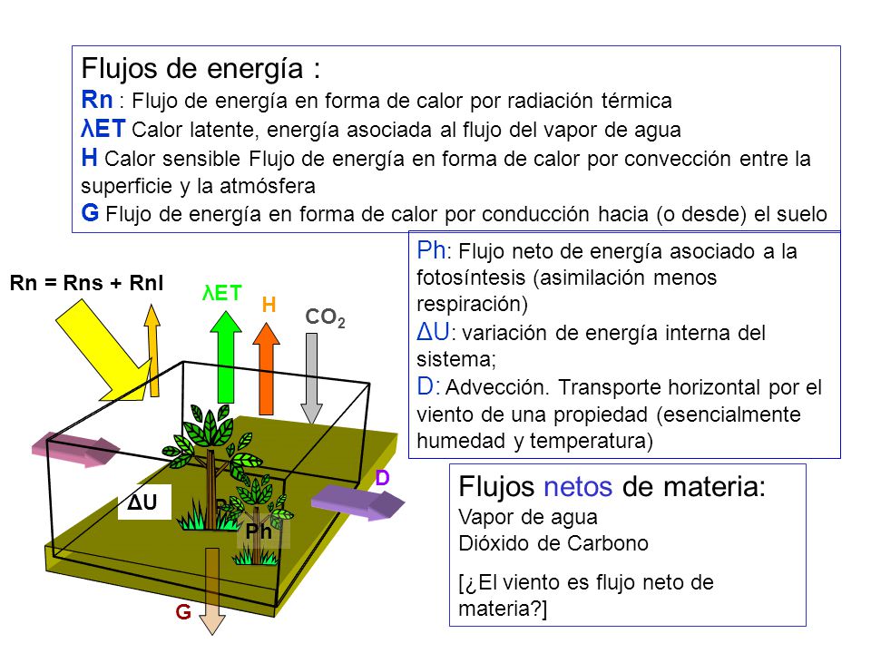 Flujos netos de materia: Vapor de agua Dióxido de Carbono