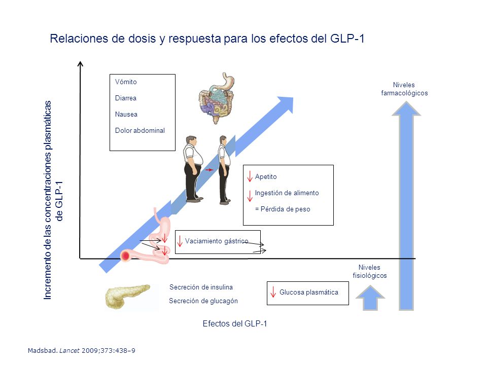 Relaciones de dosis y respuesta para los efectos del GLP-1
