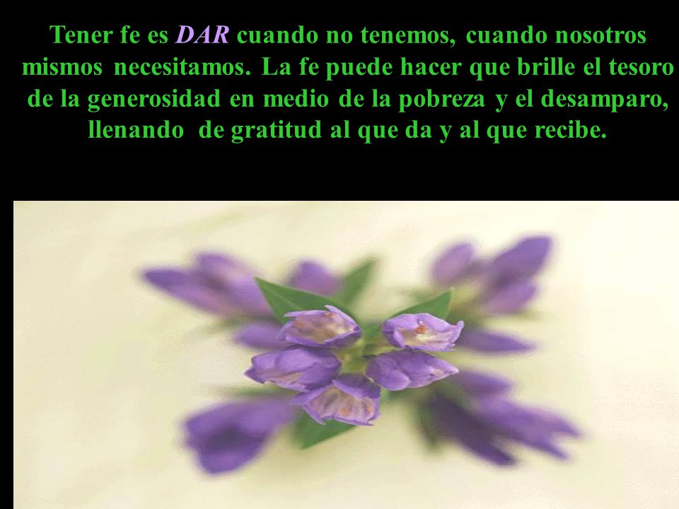 Tener fe es DAR cuando no tenemos, cuando nosotros mismos necesitamos