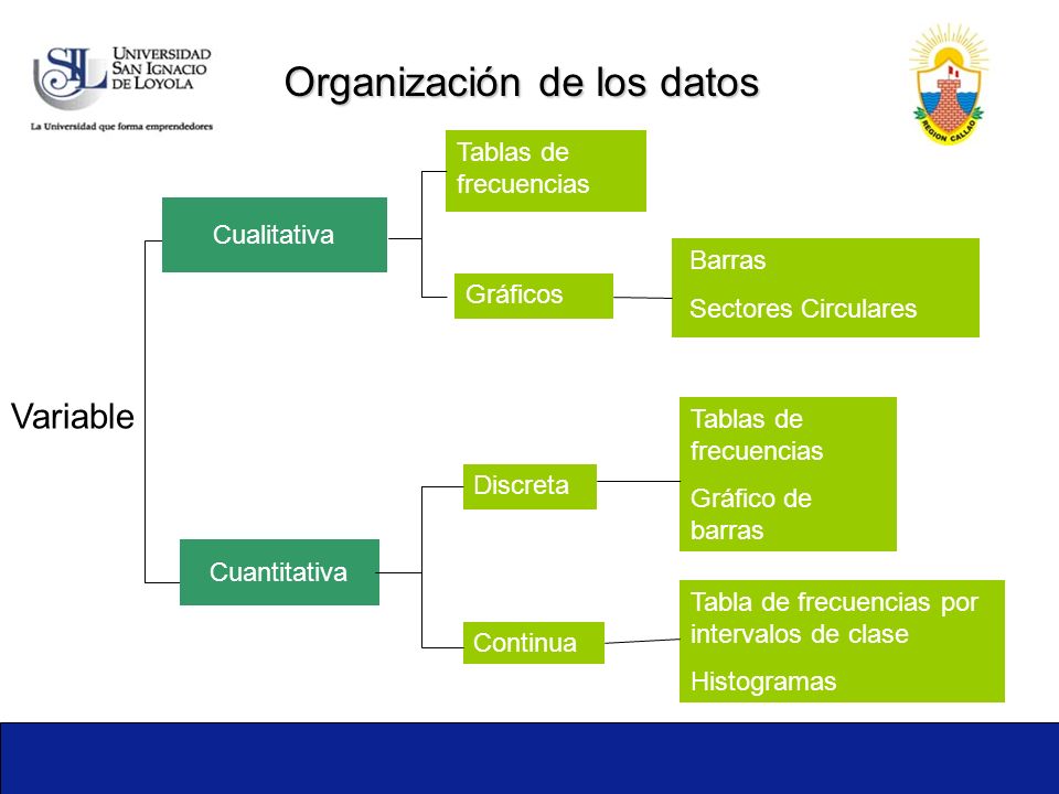 Organización de los datos