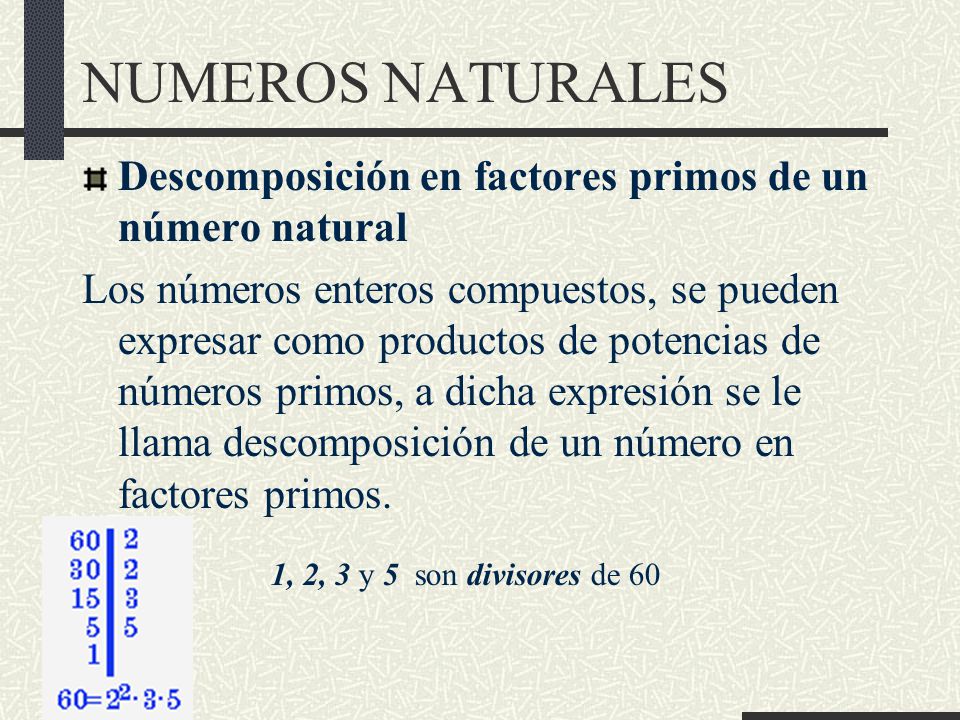 NUMEROS NATURALES Descomposición en factores primos de un número natural.