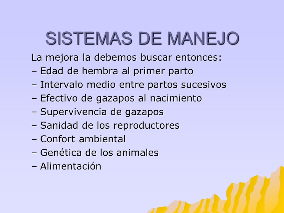 SISTEMAS DE MANEJO La mejora la debemos buscar entonces: