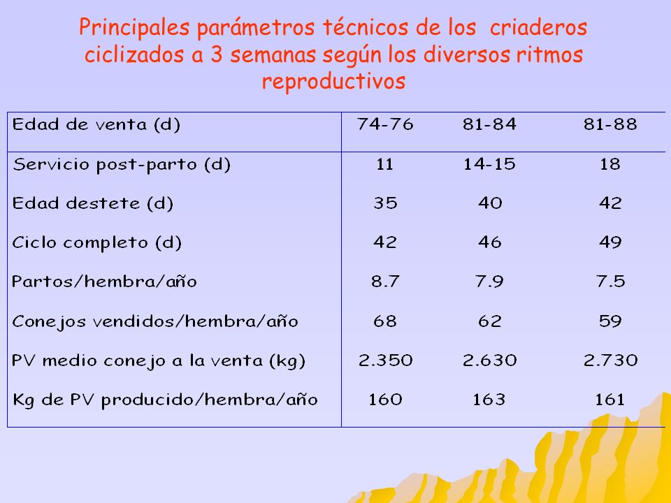 Principales parámetros técnicos de los criaderos ciclizados a 3 semanas según los diversos ritmos reproductivos
