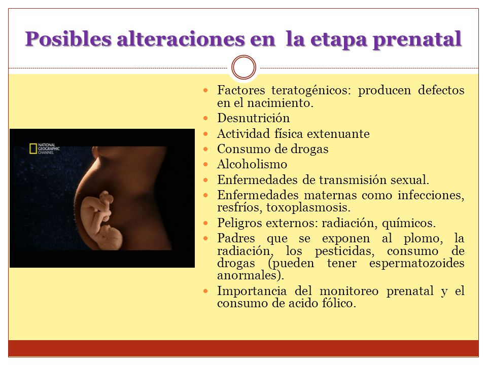 Posibles alteraciones en la etapa prenatal