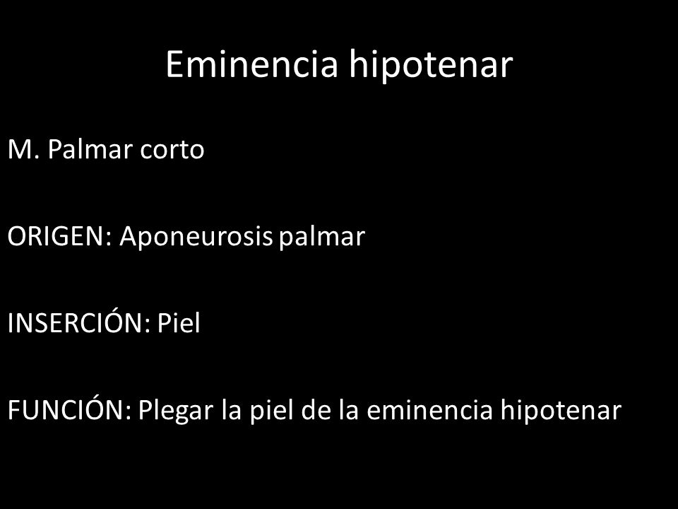 Eminencia hipotenar M.