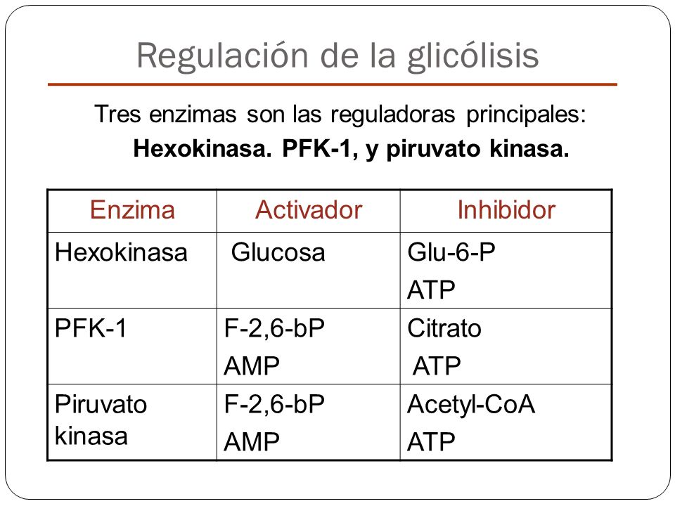 Regulación de la glicólisis