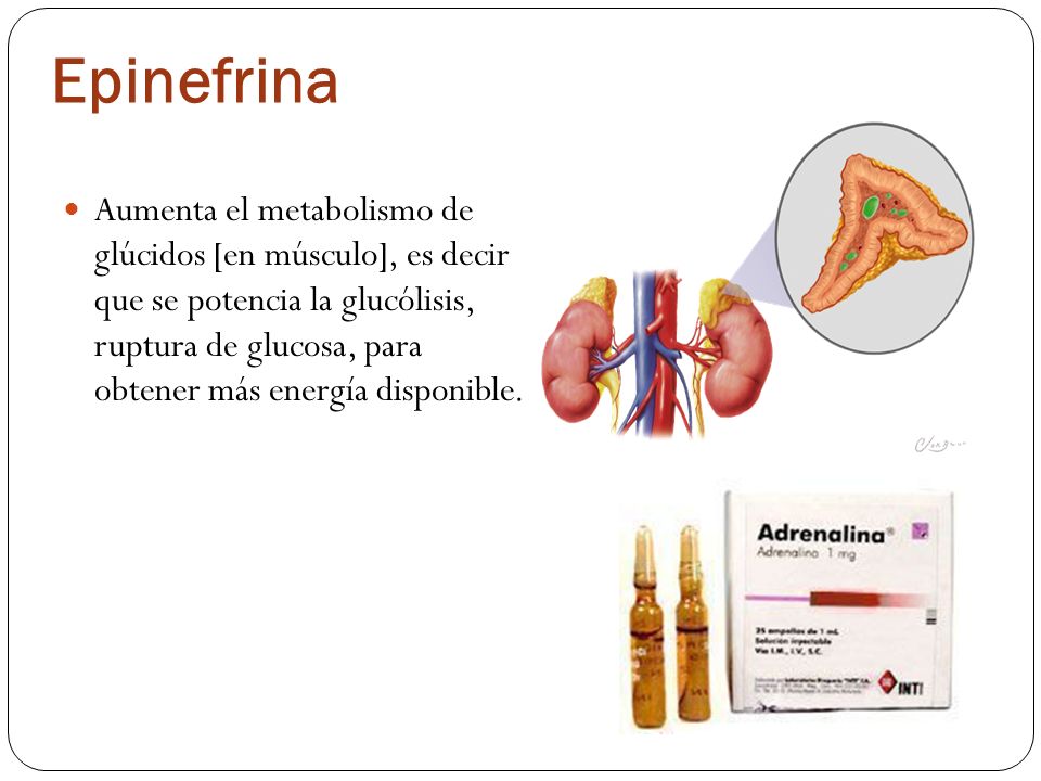 Epinefrina
