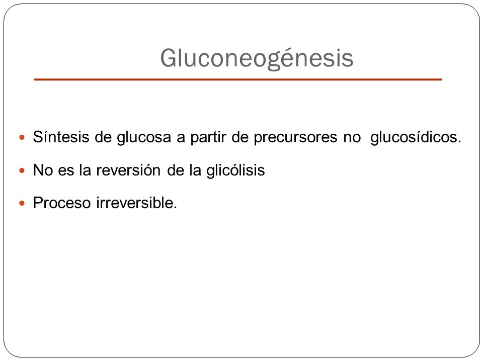 Gluconeogénesis Síntesis de glucosa a partir de precursores no glucosídicos. No es la reversión de la glicólisis.