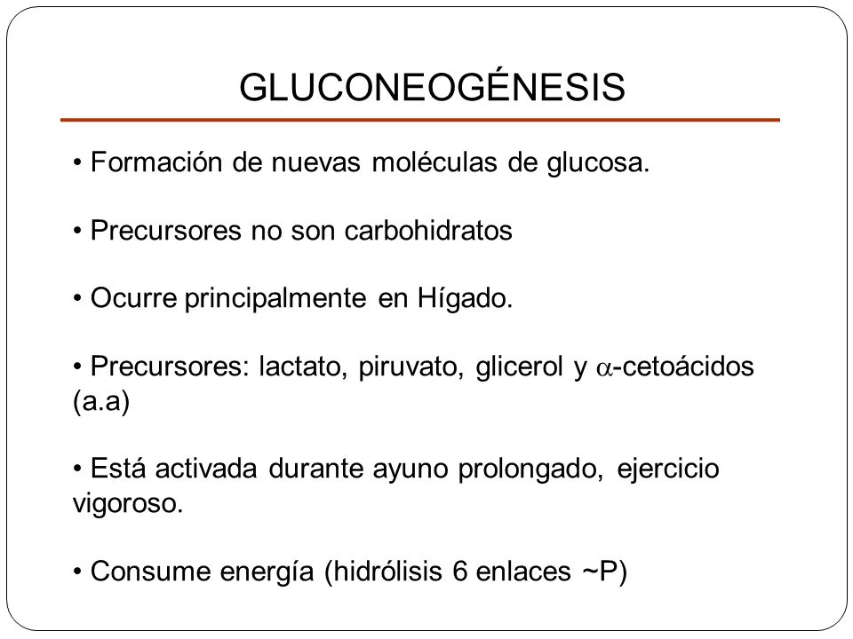 GLUCONEOGÉNESIS Formación de nuevas moléculas de glucosa.