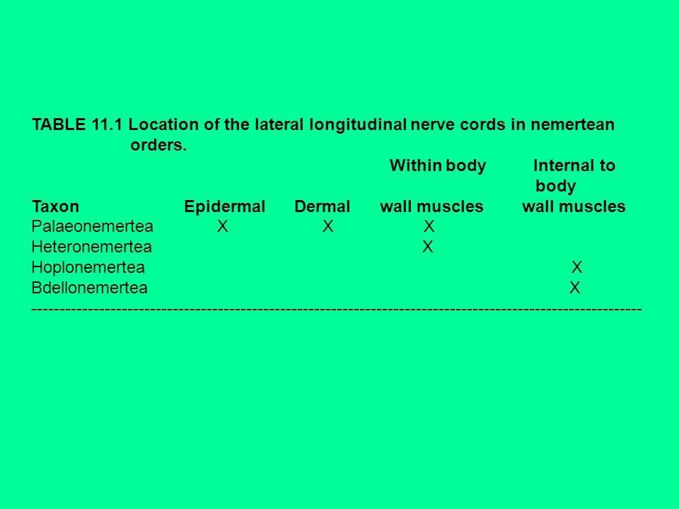TABLE 11.1 Location of the lateral longitudinal nerve cords in nemertean