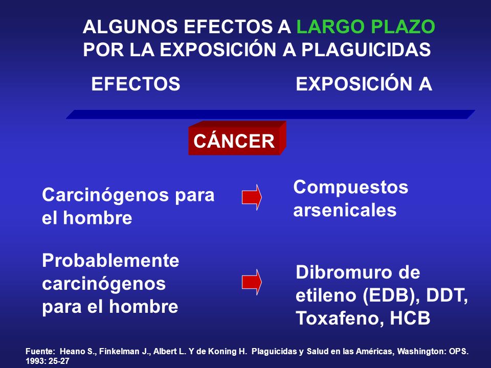 ALGUNOS EFECTOS A LARGO PLAZO POR LA EXPOSICIÓN A PLAGUICIDAS