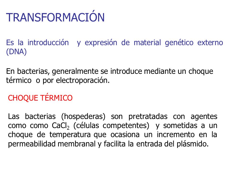 TRANSFORMACIÓN Es la introducción y expresión de material genético externo (DNA)
