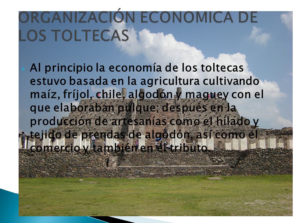 ORGANIZACIÓN ECONOMICA DE LOS TOLTECAS