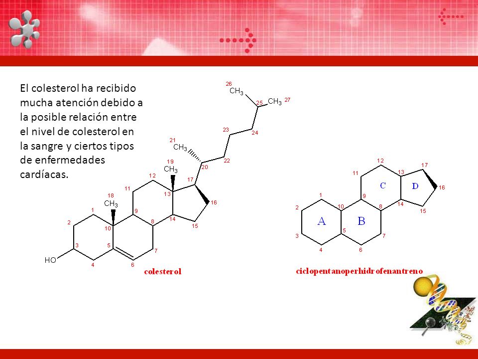 El colesterol ha recibido mucha atención debido a la posible relación entre el nivel de colesterol en la sangre y ciertos tipos de enfermedades cardíacas.