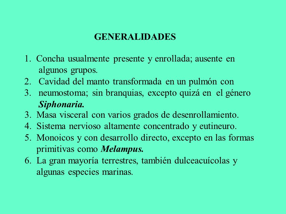 GENERALIDADES 1. Concha usualmente presente y enrollada; ausente en algunos grupos. Cavidad del manto transformada en un pulmón con.