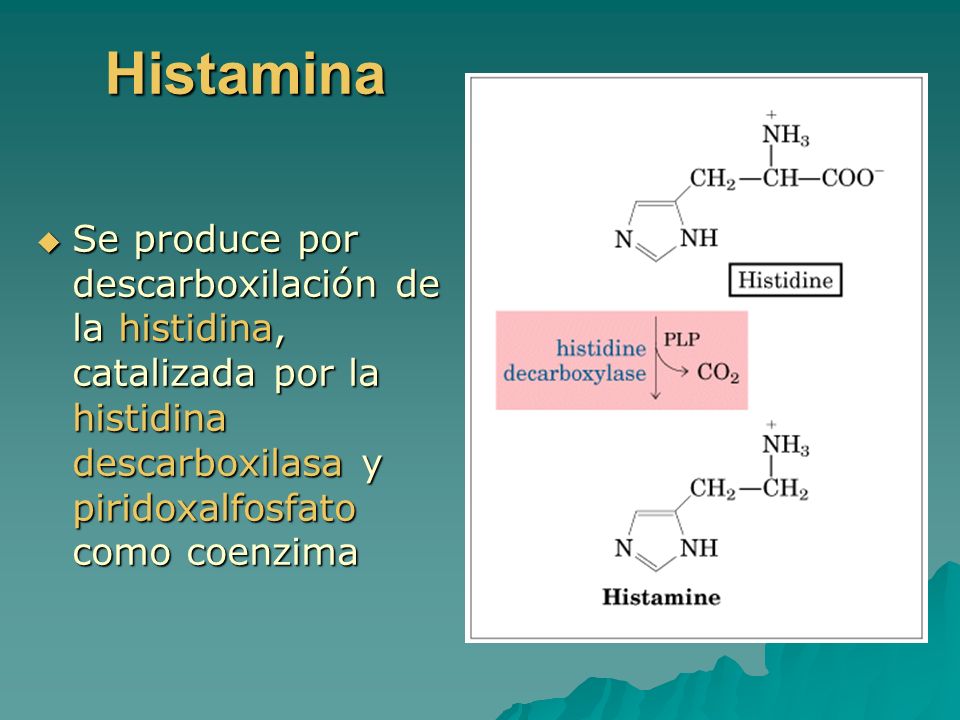 Histamina Se produce por descarboxilación de la histidina, catalizada por la histidina descarboxilasa y piridoxalfosfato como coenzima.