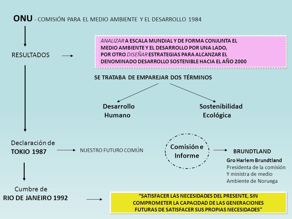 ONU - COMISIÓN PARA EL MEDIO AMBIENTE Y EL DESARROLLO 1984