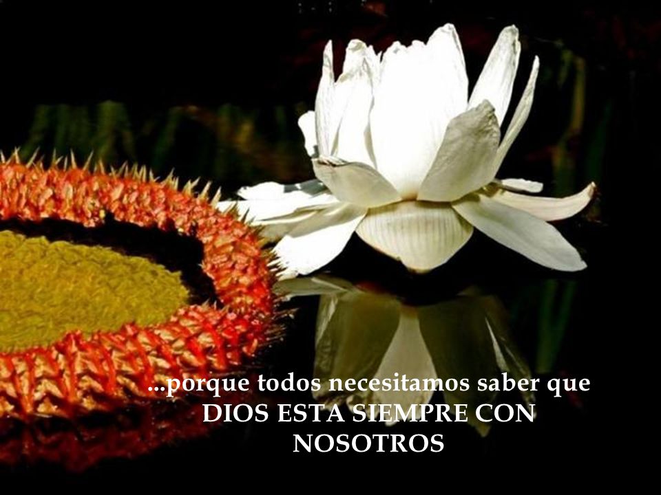 ...porque todos necesitamos saber que DIOS ESTA SIEMPRE CON NOSOTROS