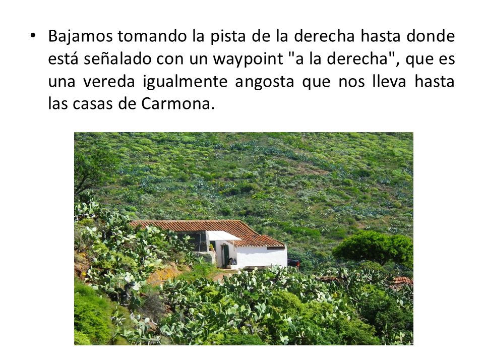 Bajamos tomando la pista de la derecha hasta donde está señalado con un waypoint a la derecha , que es una vereda igualmente angosta que nos lleva hasta las casas de Carmona.